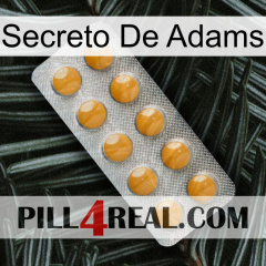 Adams Secret levitra1